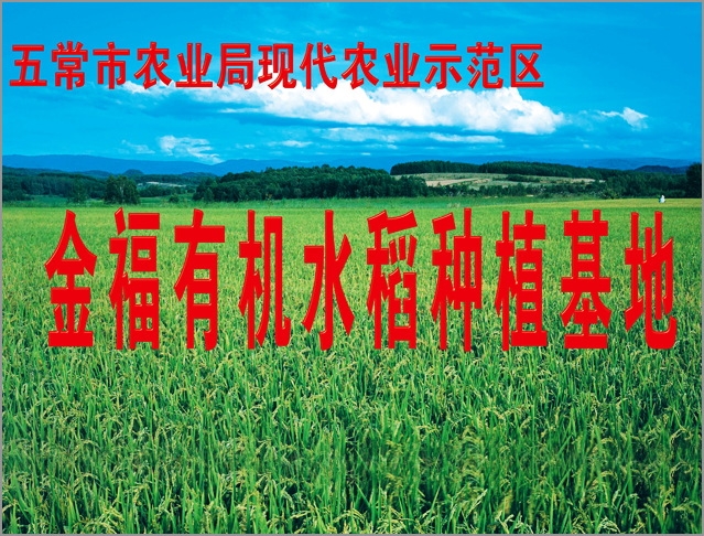 金福有机水稻种植基地
